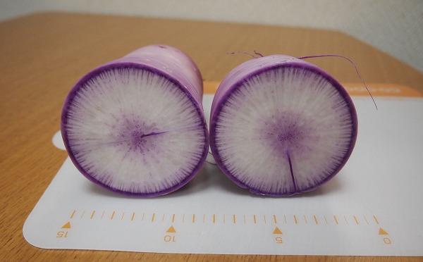 三重県名張市赤目産 美しい紫色 紫大根 ６本